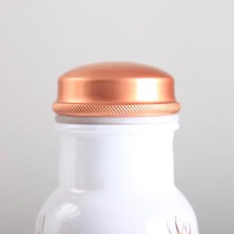 Copper Water Bottle - Seahorse