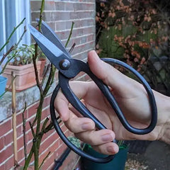 Gardening Scissors in Pouch - Large
