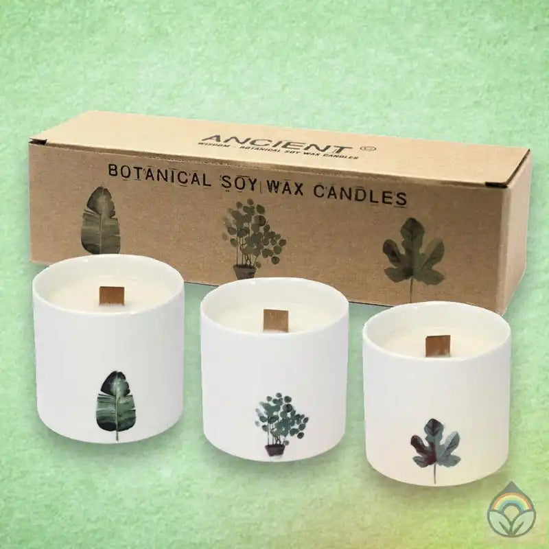Botanical Soy Candles - Set of 3