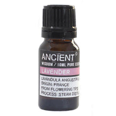 Essential Oil-Lavender