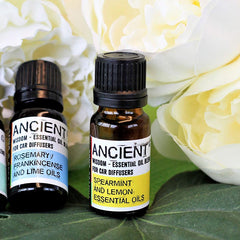 Aromatherapy Essential Oil Car Blend - Travel Ease