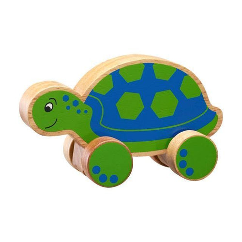 Push Along Toy-Turtle - Rainbow Life