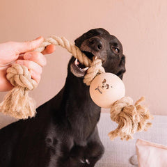 Handmade Hemp and Wood Dog Toy-Knot Putt