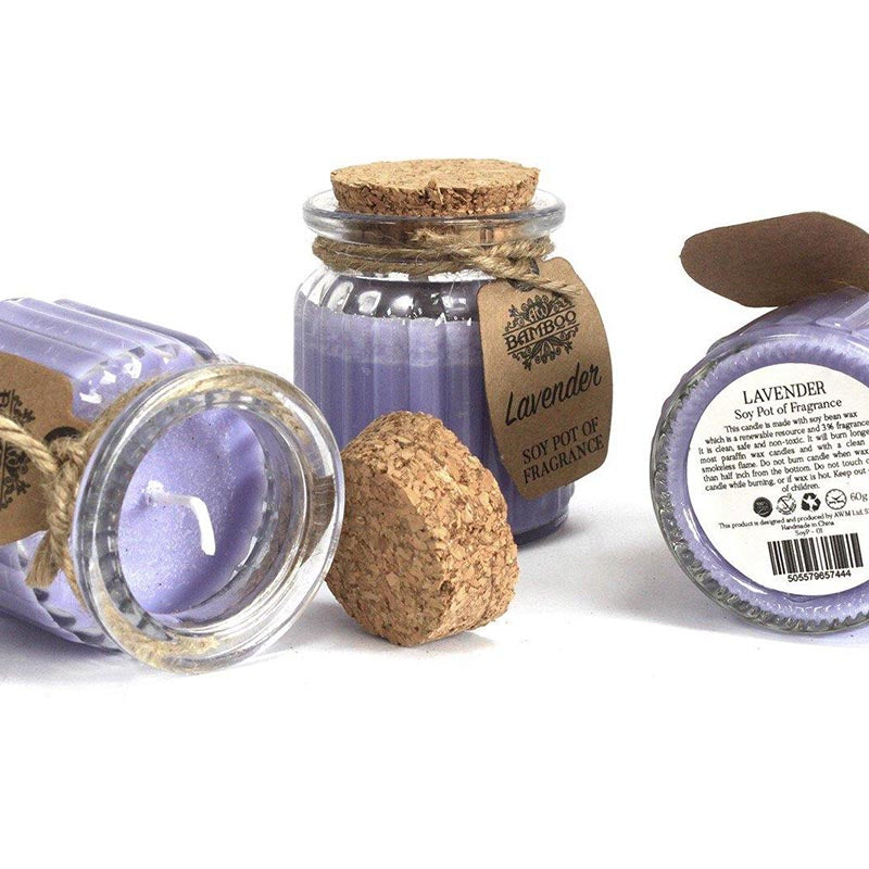Lavender Soy Candle Pot of Fragrance