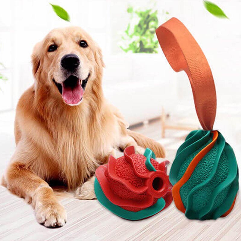 Spring Chew Toy-Red