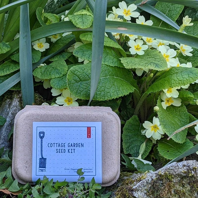 Cottage Garden Seed Kit