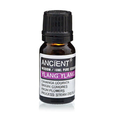 Essential Oil - Ylang Ylang III