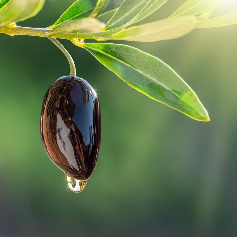 Load image into Gallery viewer, Fabulous Frankincense Renewal Cream 50ml

