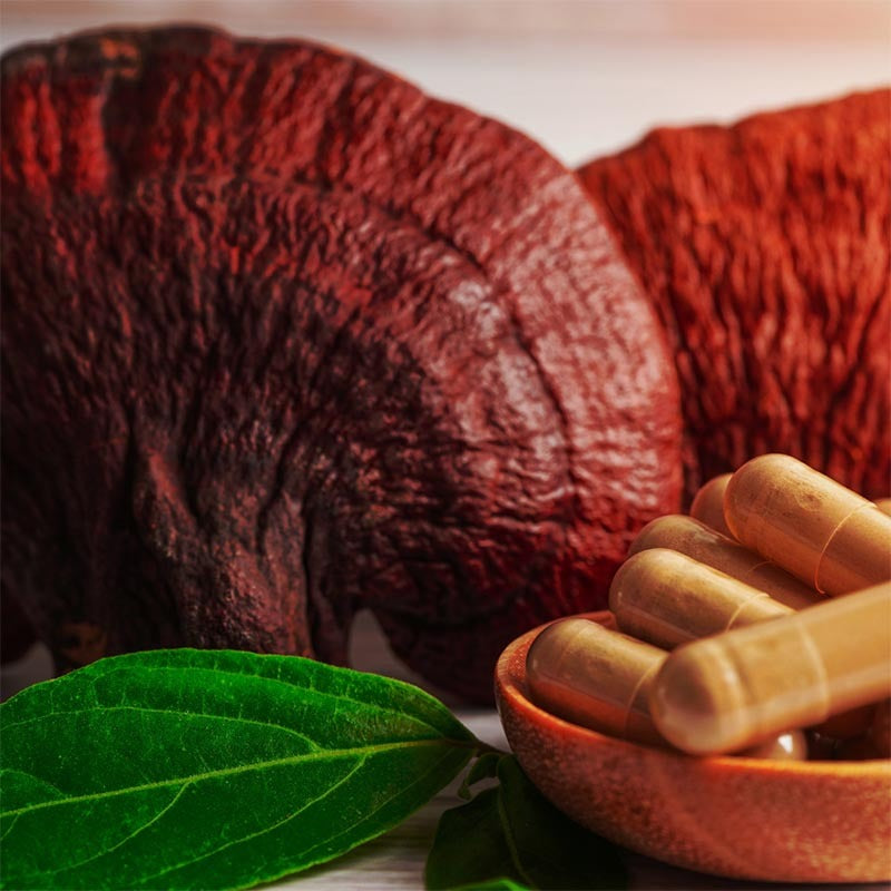 Reishi Capsules Organic 450mg 60pcs