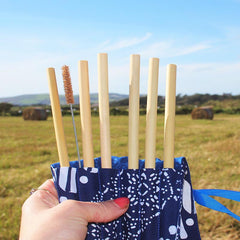 Set of Bamboo Straws